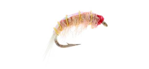 Original Bighorn Scud Pink 6 Pack CLOSEOUT